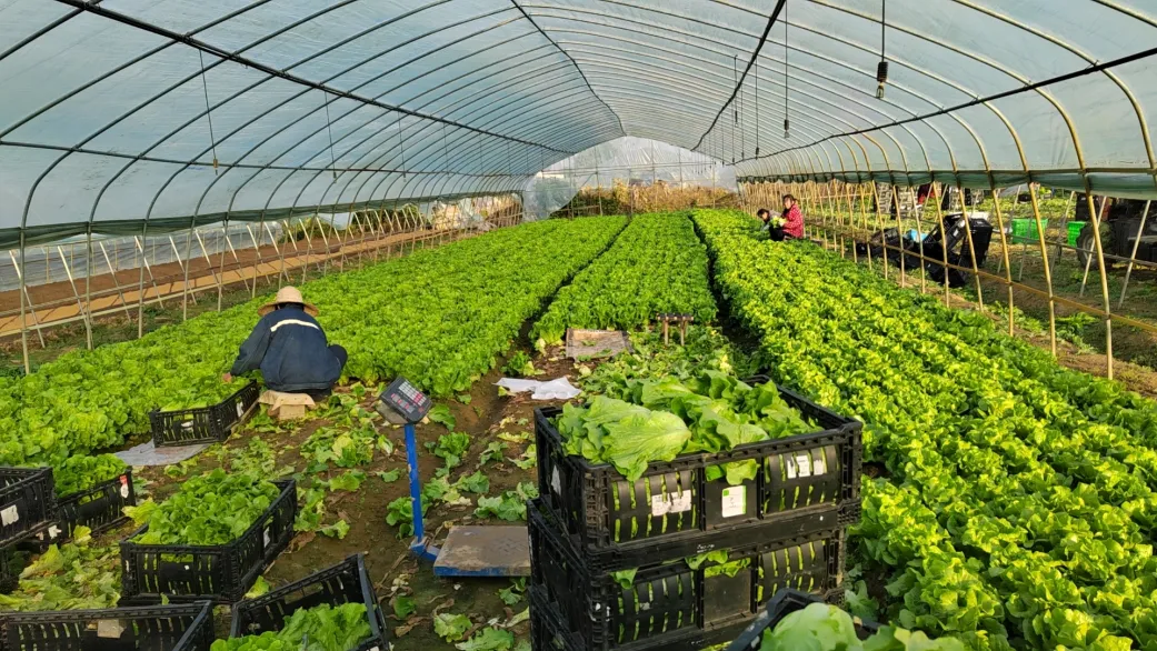 c7c7娱乐平台官网入口(中国集团)官方网站