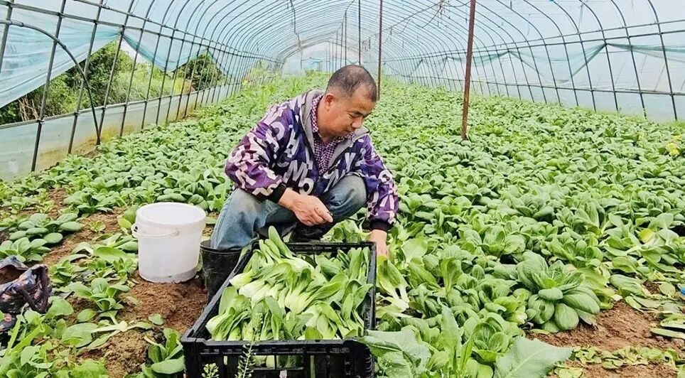 c7c7娱乐平台官网入口(中国集团)官方网站